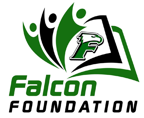 Logo for Falcon Foundation, Inc. 